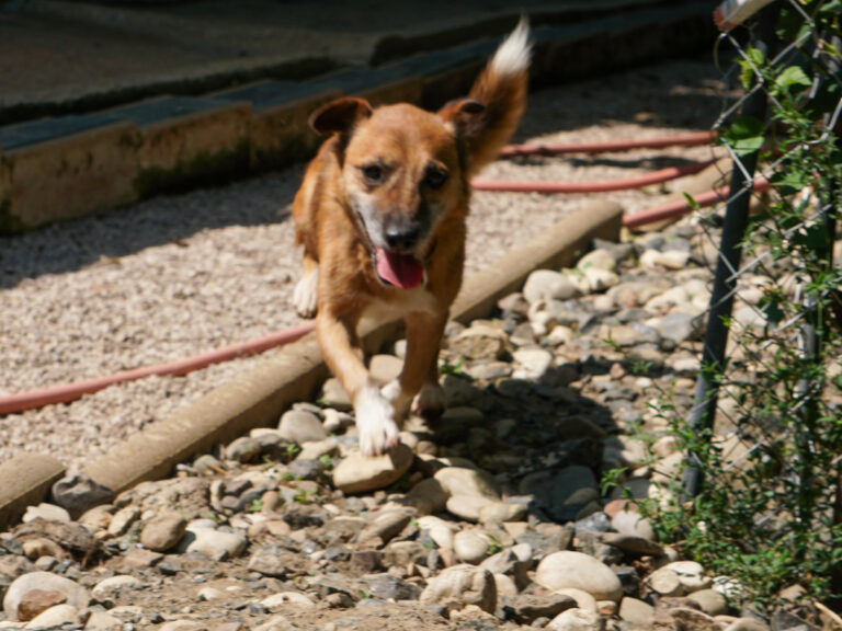 20250815-fotos-amon-09