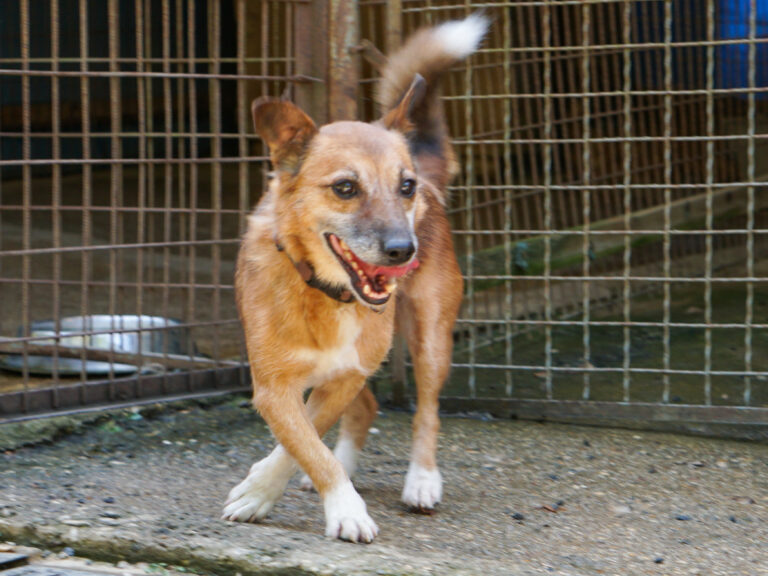 20250815-fotos-amon-16