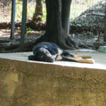 20250815-fotos-anika-1