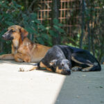 20250815-fotos-anika-4