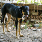 20250815-fotos-anika-5