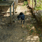 20250815-fotos-anika-6