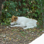 20250815-fotos-annemarie-1