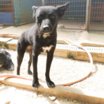 20250815-fotos-billie-04