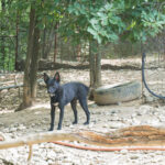 20250815-fotos-billie-05