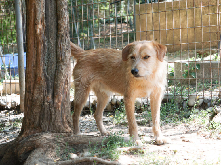 20250815-fotos-darcy-06