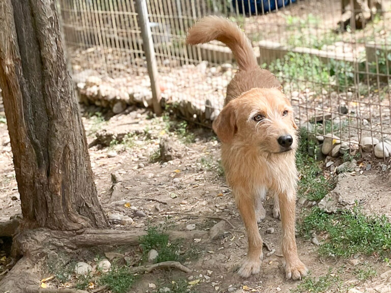 20250815-fotos-darcy-10