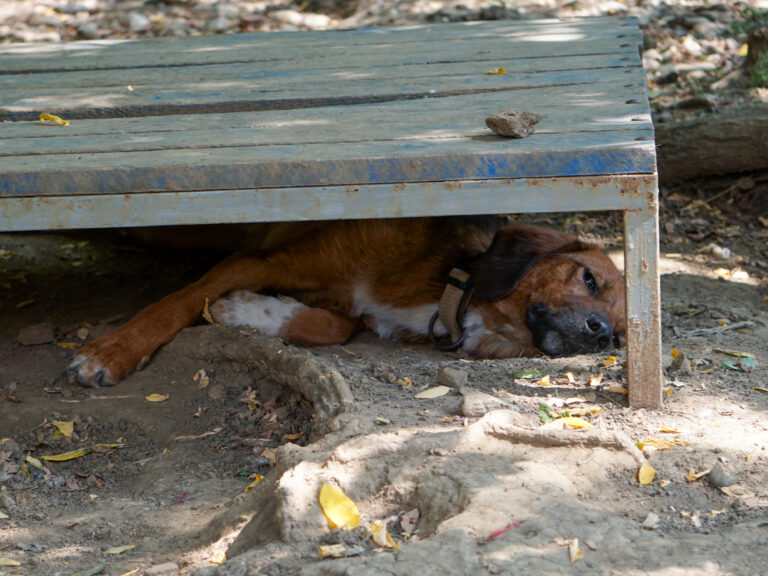 20250815-fotos-dario-2