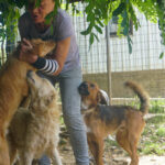 20250815-fotos-dario-4