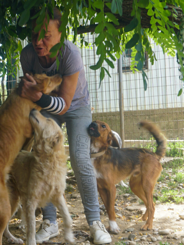 20250815-fotos-dario-4