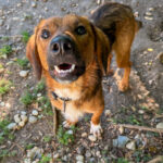 20250815-fotos-dario-5