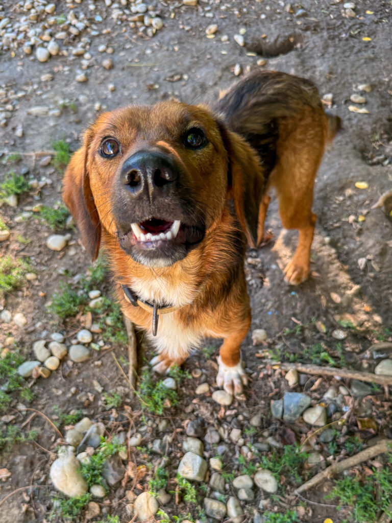 20250815-fotos-dario-5