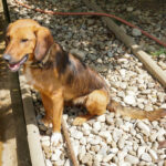 20250815-fotos-dario-6