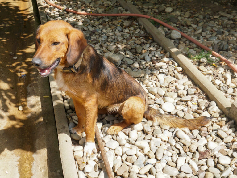 20250815-fotos-dario-6