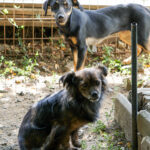 20250815-fotos-emilija-03