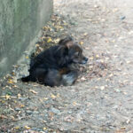 20250815-fotos-emilija-08