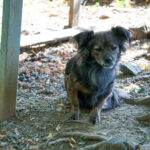 20250815-fotos-emilija-09