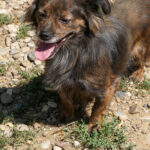 20250815-fotos-emilija-13