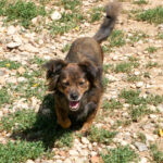 20250815-fotos-emilija-18