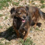 20250815-fotos-emilija-26