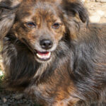 20250815-fotos-emilija-28