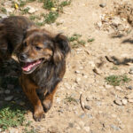 20250815-fotos-emilija-32