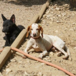 20250815-fotos-fico-09 (1)