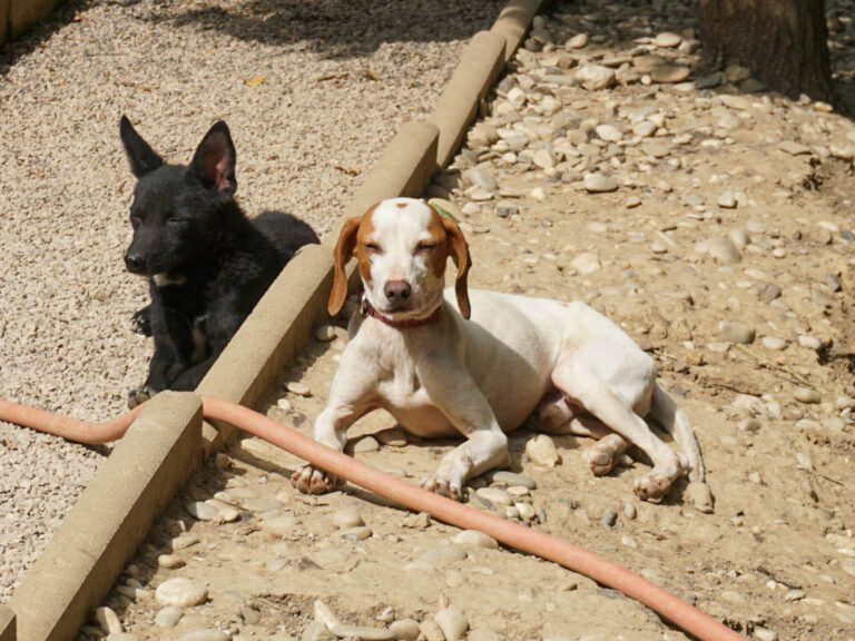 20250815-fotos-fico-09 (1)