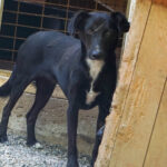 20250815-fotos-fiona-01