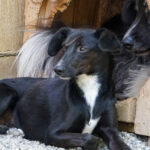 20250815-fotos-fiona-09