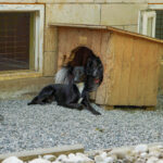 20250815-fotos-fiona-19