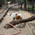 20250815-fotos-friedrich-02