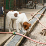 20250815-fotos-friedrich-03