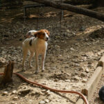 20250815-fotos-friedrich-09