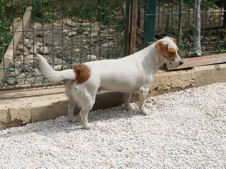 20250815-fotos-gabriella-1