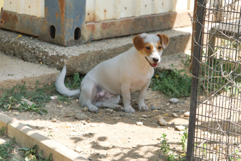 20250815-fotos-gabriella-3