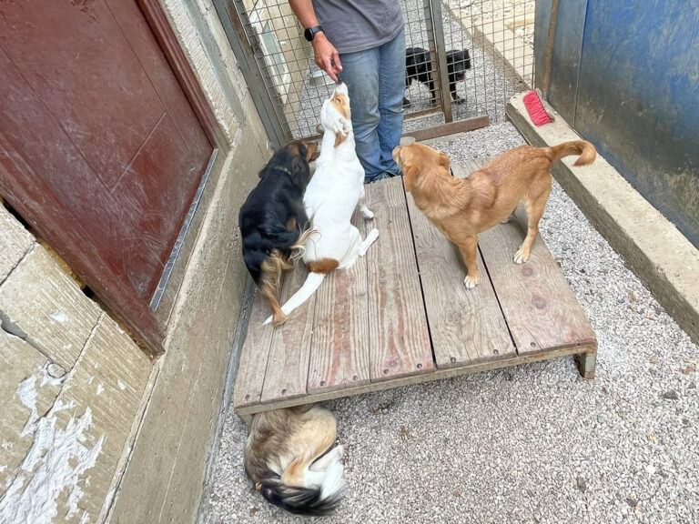 20250815-fotos-gabriella-4