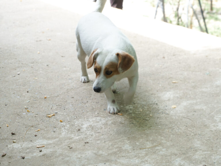 20250815-fotos-gabriella-5