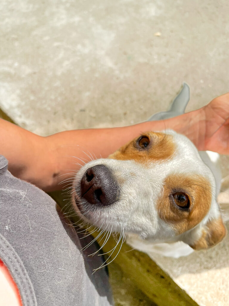 20250815-fotos-gabriella-7