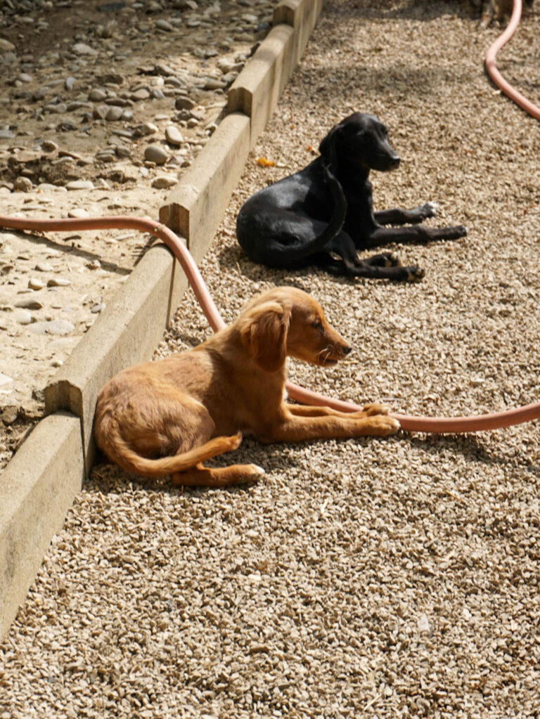 20250815-fotos-igor-07