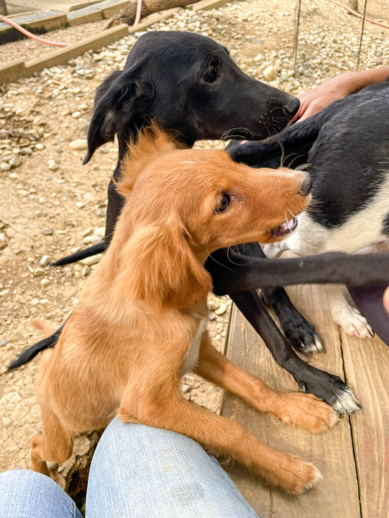 20250815-fotos-igor-08