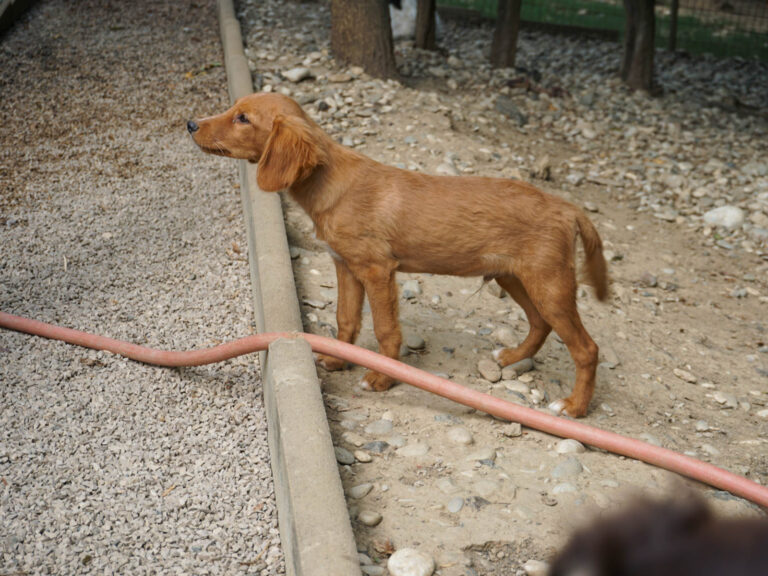 20250815-fotos-igor-09