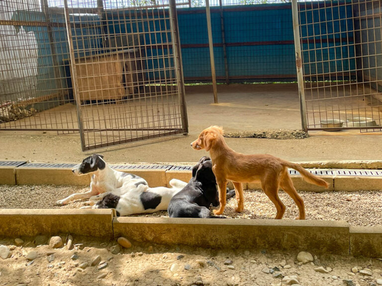 20250815-fotos-igor-14