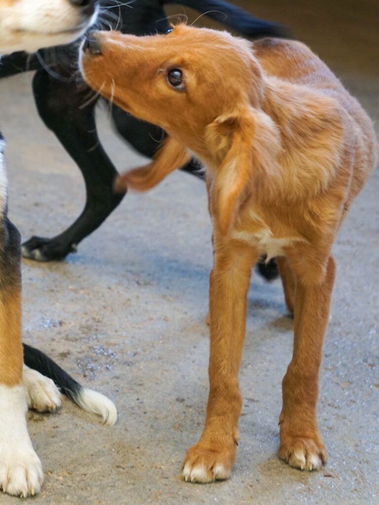 20250815-fotos-igor-16