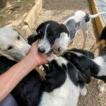 20250815-fotos-ilias-2