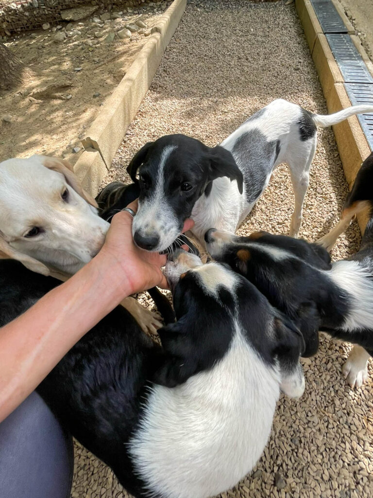 20250815-fotos-ilias-2