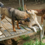 20250815-fotos-inessa-02