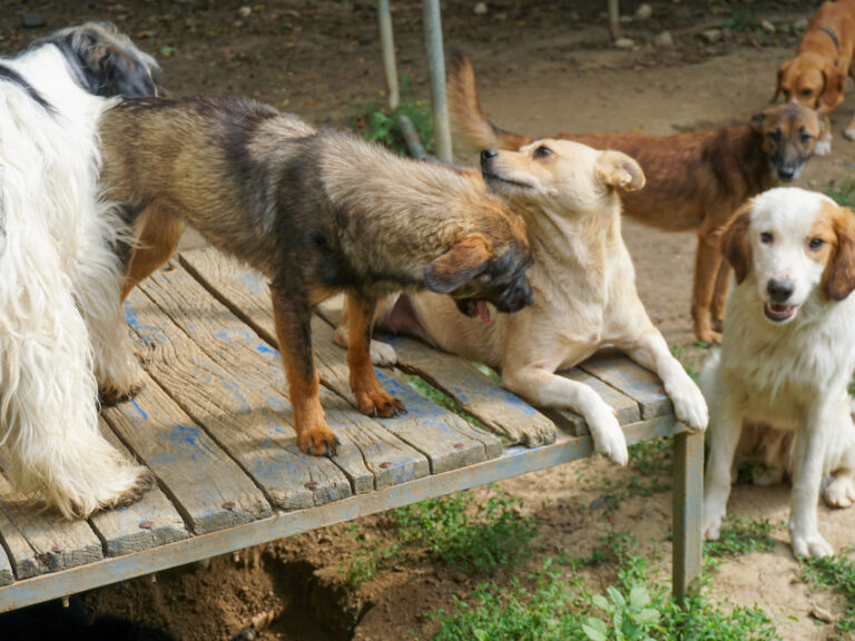 20250815-fotos-inessa-02