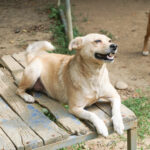 20250815-fotos-inessa-03