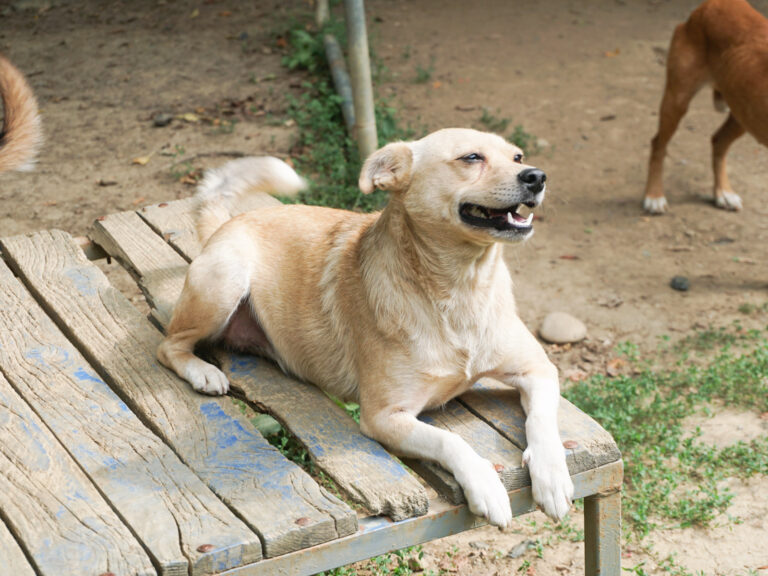 20250815-fotos-inessa-03